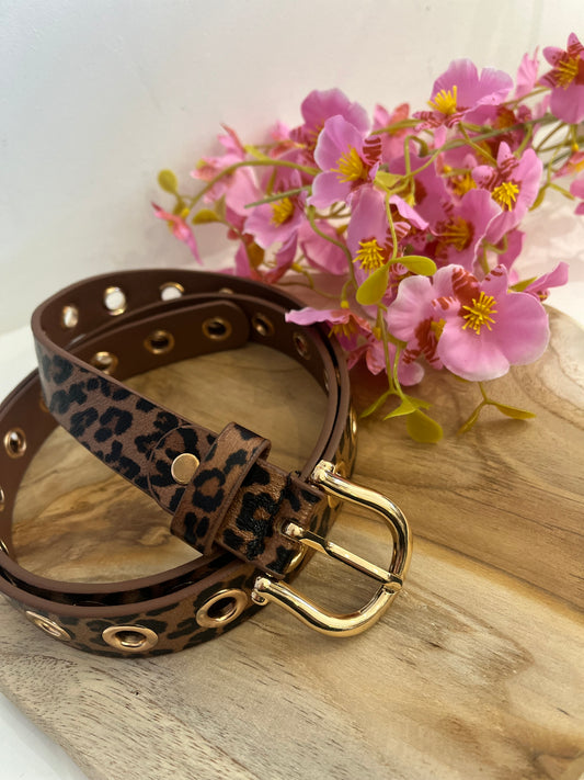 Ceinture - C15