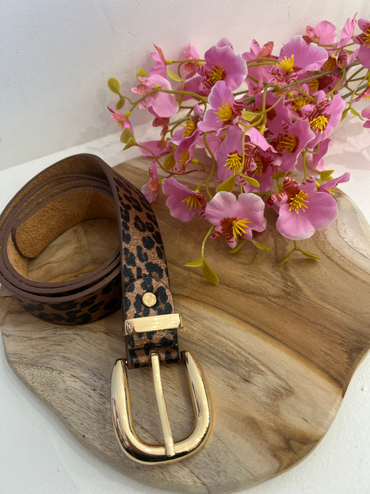 Ceinture -C14